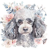 Animal Integration-DW 440